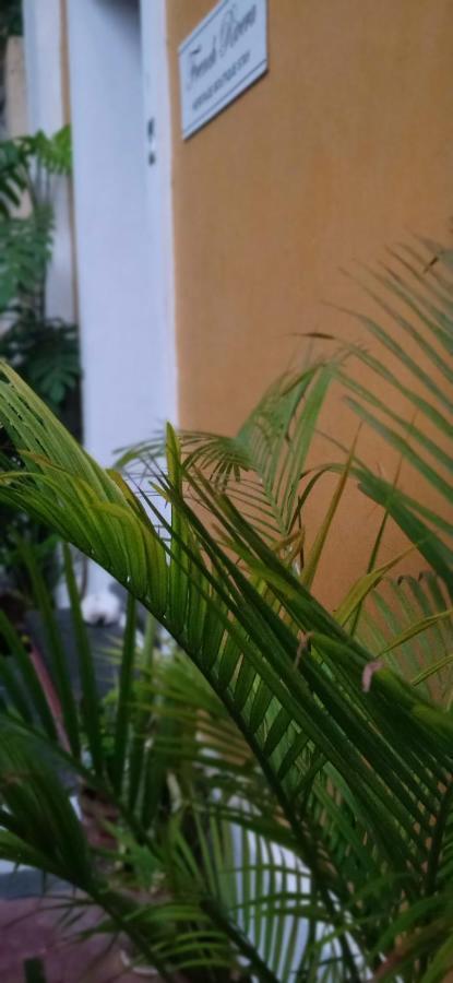 French Rivera Guest House Puducherry Eksteriør billede